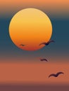 Vector illustration of the sun close-up during sunset and flying gulls Royalty Free Stock Photo